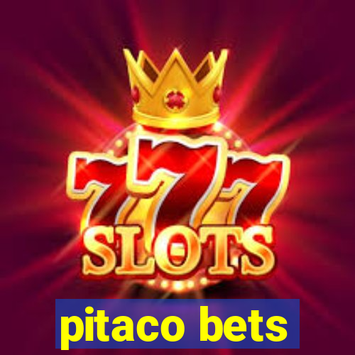 pitaco bets